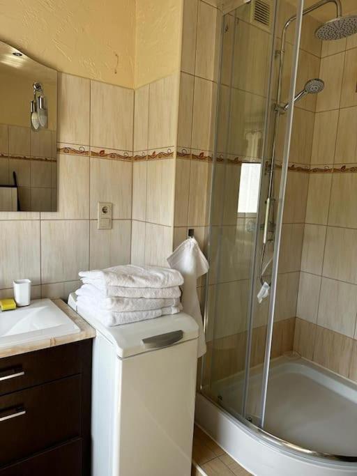 Ferienwohnung Jelenizen Jelenia Góra Exterior foto