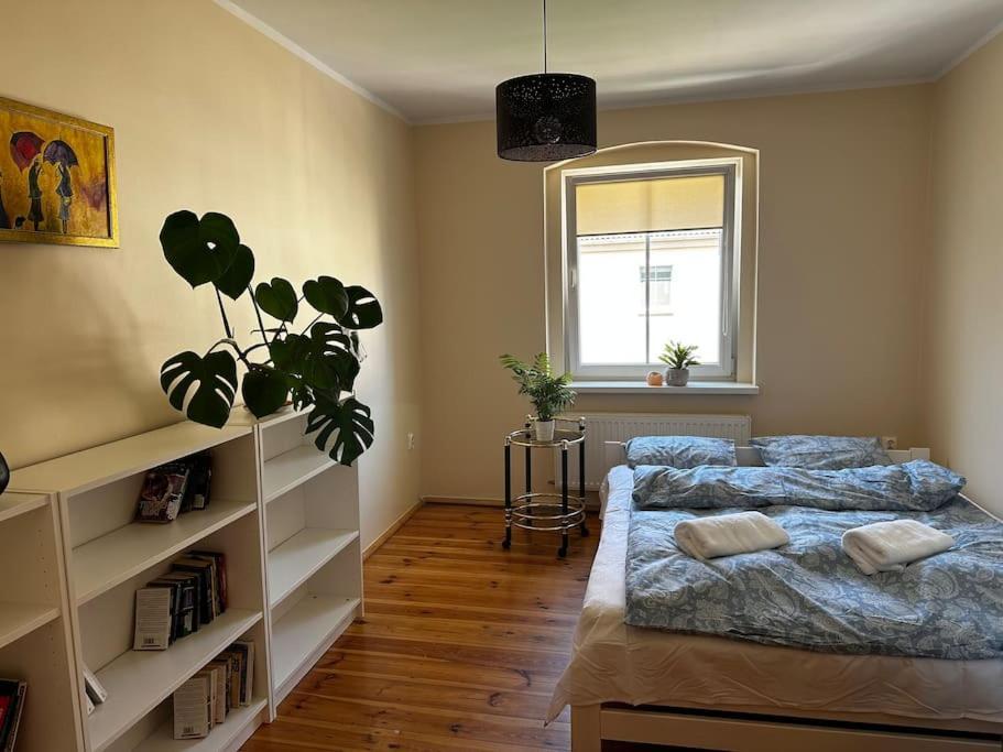 Ferienwohnung Jelenizen Jelenia Góra Exterior foto
